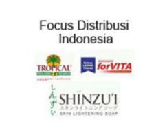 PT Focus, minyak goreng, bimoli, kirim kontainer, 20feet